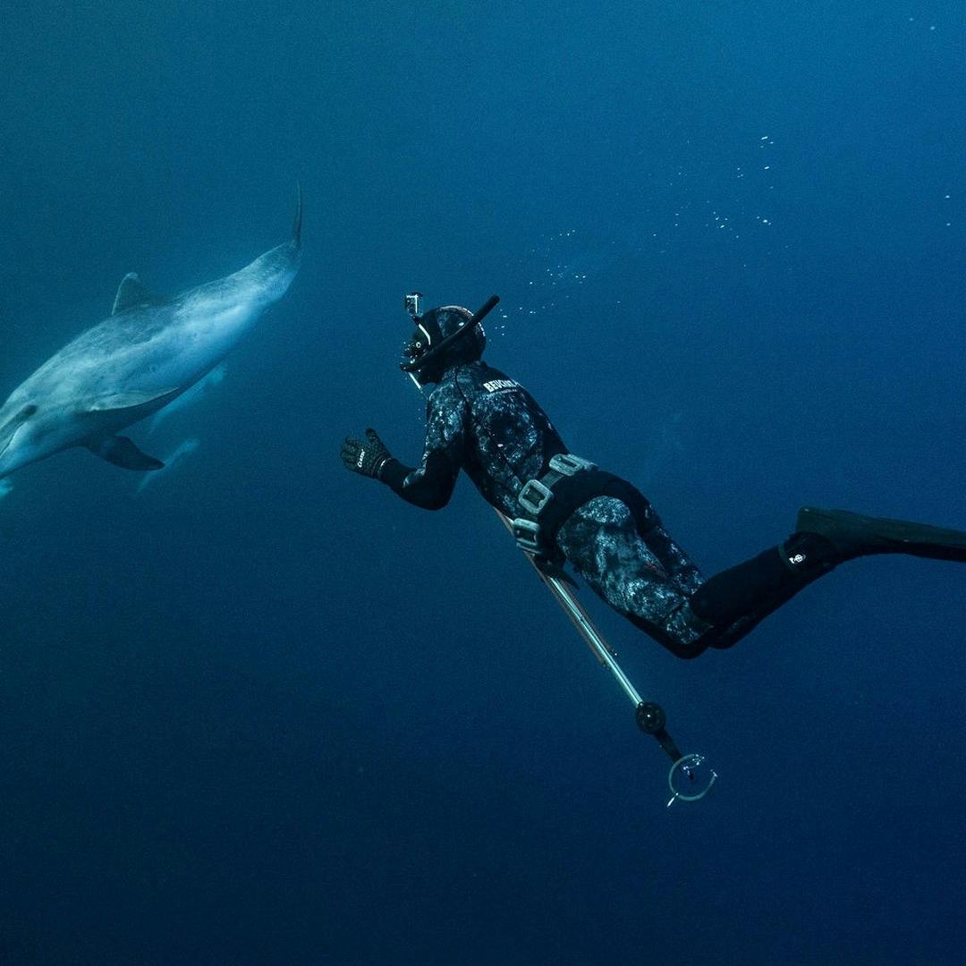 Person diving underwater with a dolphin.